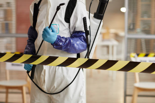 Professional Sewage Cleanup technician working in Weimar, CA